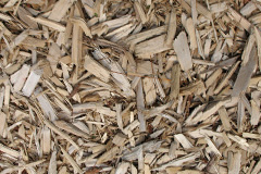 biomass boilers Gilchriston